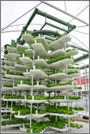 Parking Garage Garden